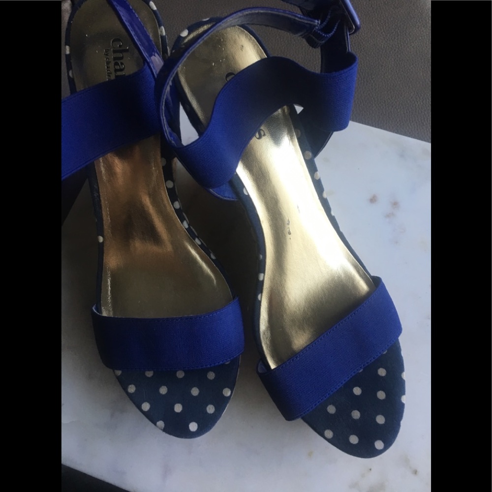 Charles David wedge sandals